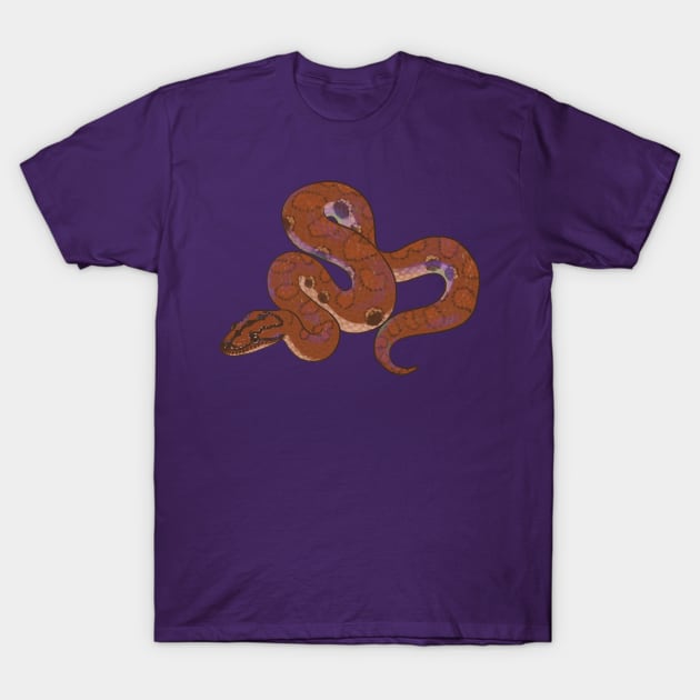 Iridescent Rainbow Boa T-Shirt by starrypaige